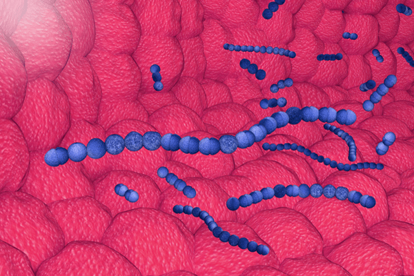 Read more about the article Avaliação in vitro do efeito antibacteriano da terapia fotodinâmica na mucosite peri-implantar