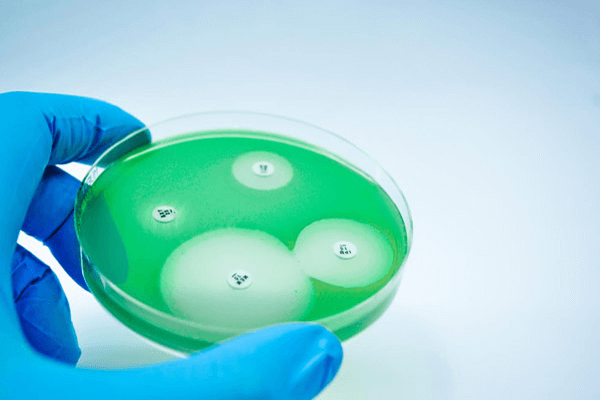 You are currently viewing Bactérias super-resistentes e Odontologia: um risco silencioso que pode ser fatal